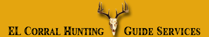 image of hunting-guide-services.com welcome logo with deer antlers mounted in the name