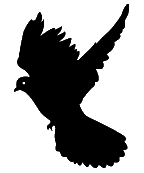 image of silhouette of doves