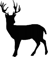 image of silhouette of whitetail deer